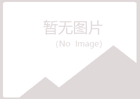 大兴安岭紫山能源有限公司